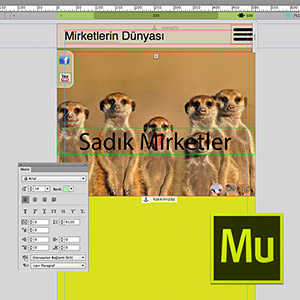Adobe Muse ile Responsive Web Design Video Eğitimi